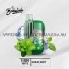 BULUBULU 15000 Puffs Miami Mint