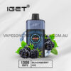 Iget One 12000 Puffs Blackberry Ice