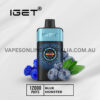 Iget One 12000 Puffs Blue Monster
