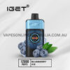 Iget One 12000 Puffs Blueberry Ice