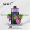 Iget One 12000 Puffs Grape Ice